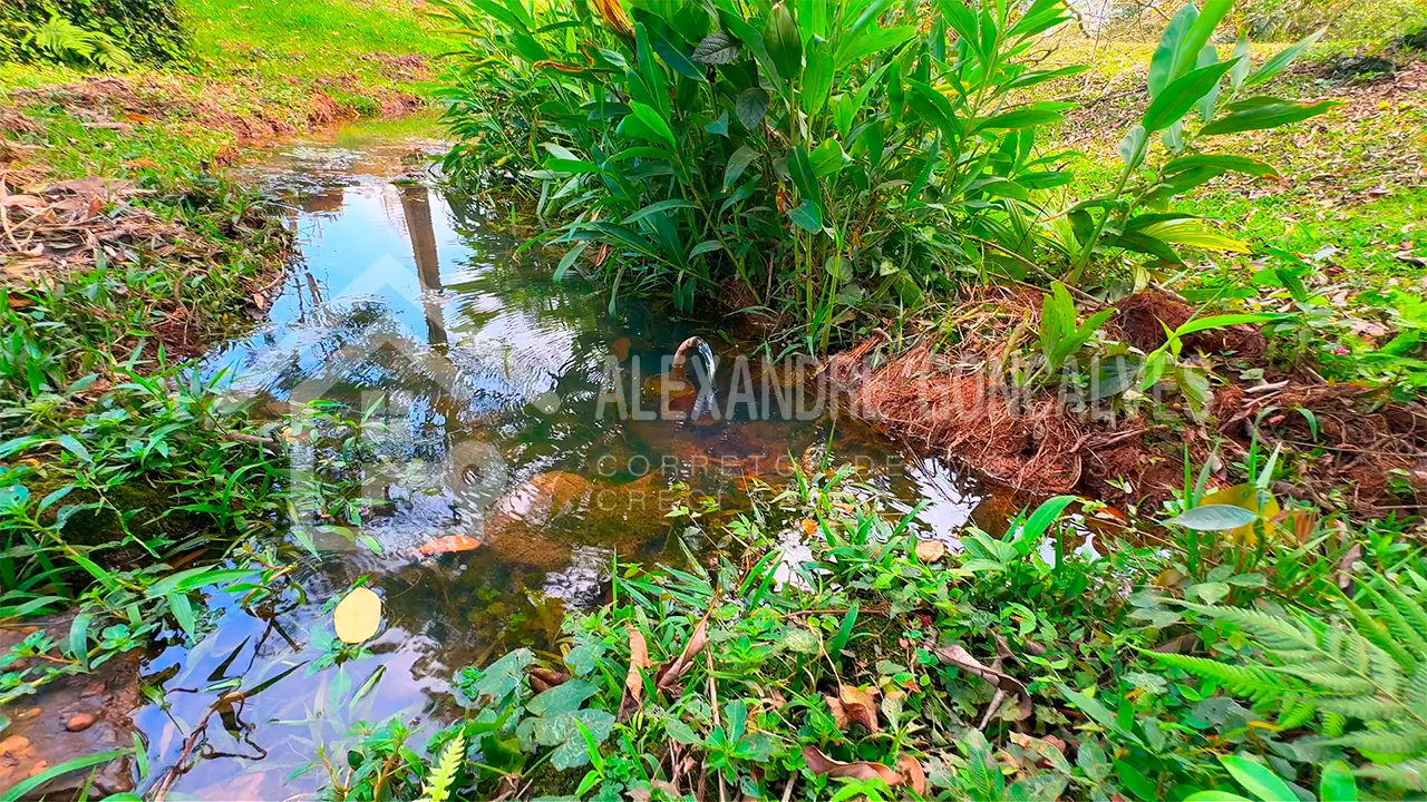 Sítio à Venda em Cesário Lange – Abundante em Água